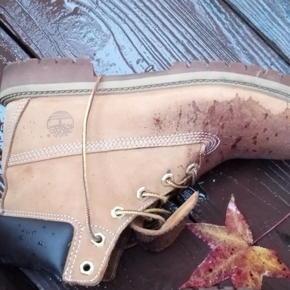 Timberland - Picture 3 of 8